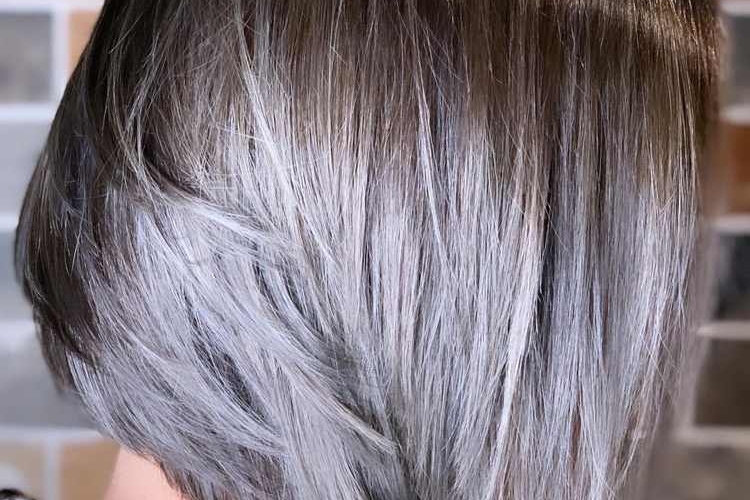 Mèches grises ou balayage sur les cheveux foncés et clairs