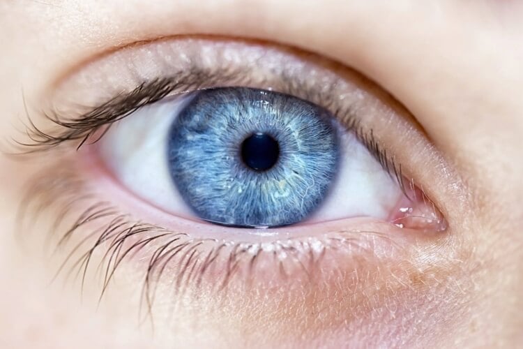diagnostiquer maladies graves examen des yeux