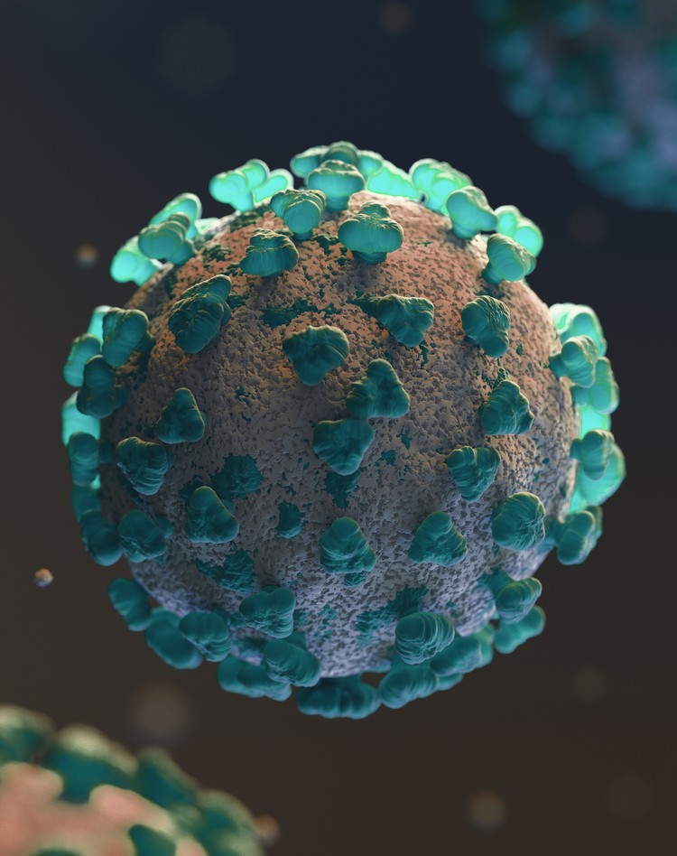 forme grave du Covid-19 obésité personnes à risque nouvelle étude pandémie coronavirus