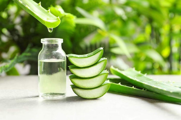 Aloe Vera à Boire Pour Maigrir Aloe Vera Bien être: Aloe Vera -/-à Boire Gel = Miel Et Pêche 2 Jus d'aloe vera à boire