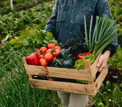 manger végétal réduire risque accident vasculaire cérébral ischémique régime végétalien nouvelle étude