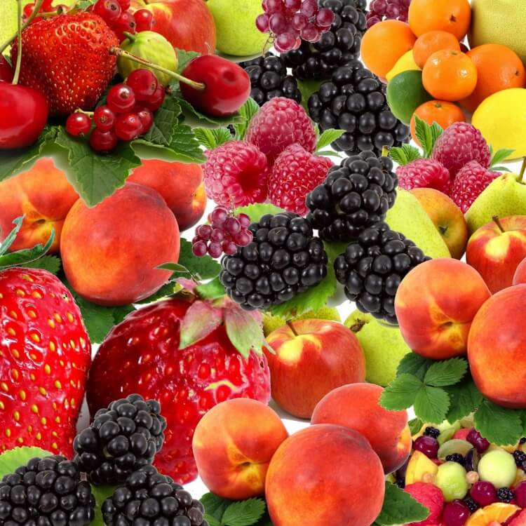 régime fruitarien bienfaits comparer autres régimes