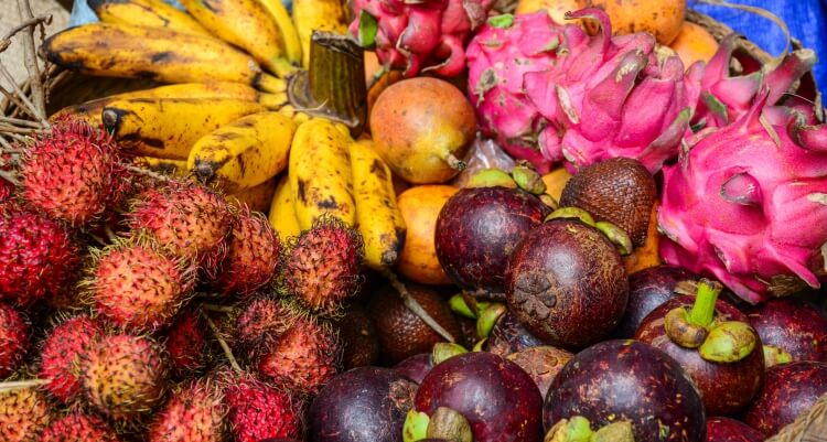 régime fruitarien variétés existantes manger fructivore