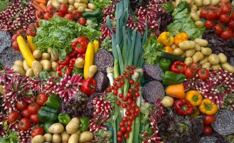 alimentation durable alternatives bases plantes