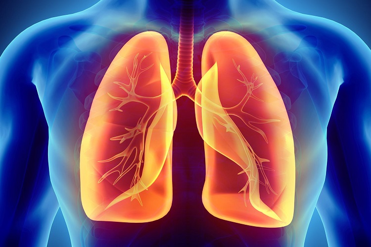 aliments bons pour les poumons pour booster la santé pulmonaire