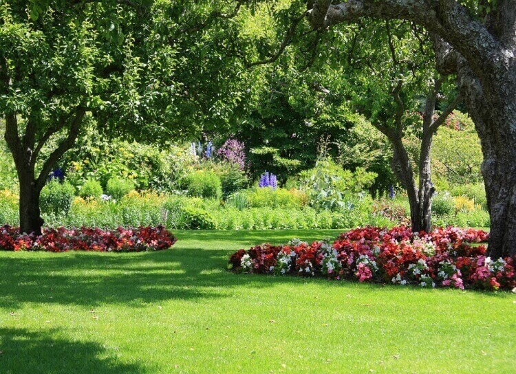 Aménagement Paysager Sous Un Arbre