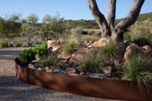 bordure de jardin en acier Corten autour un arbre