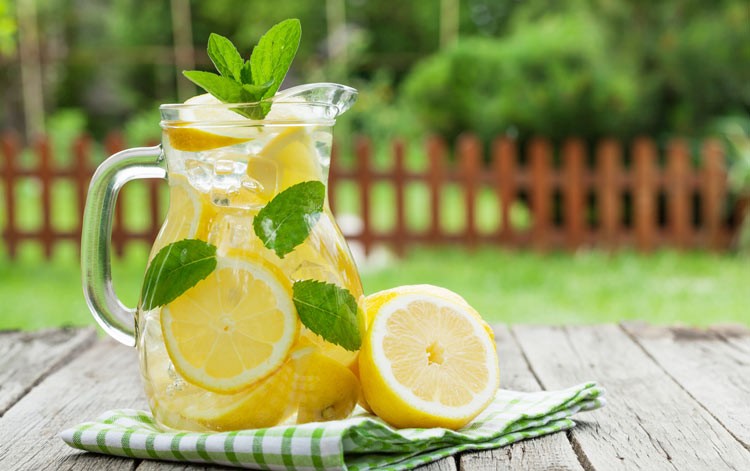 comment faire pousser un citronnier pot faire limonade maison