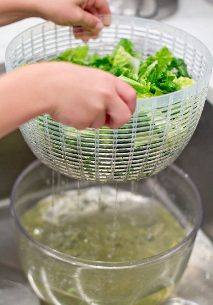 comment laver salade retirer pesticides comment la sécher