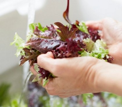 comment laver salade verte pour retirer pesticides