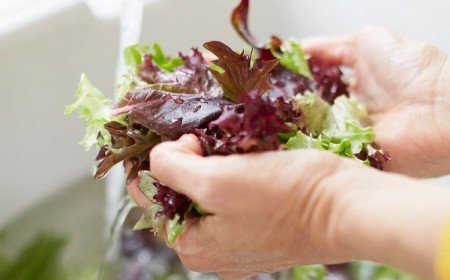 comment laver salade verte pour retirer pesticides