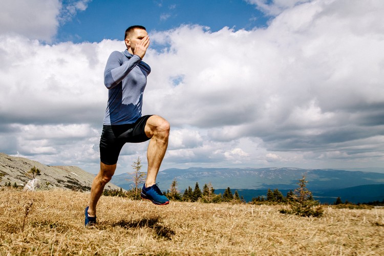 consommation de kiwi lutter stress oxydatif radicaux libres athlètes entraînement intense étude