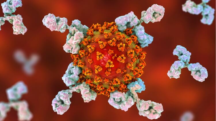 diminuer transmission virus vaccin covid-19