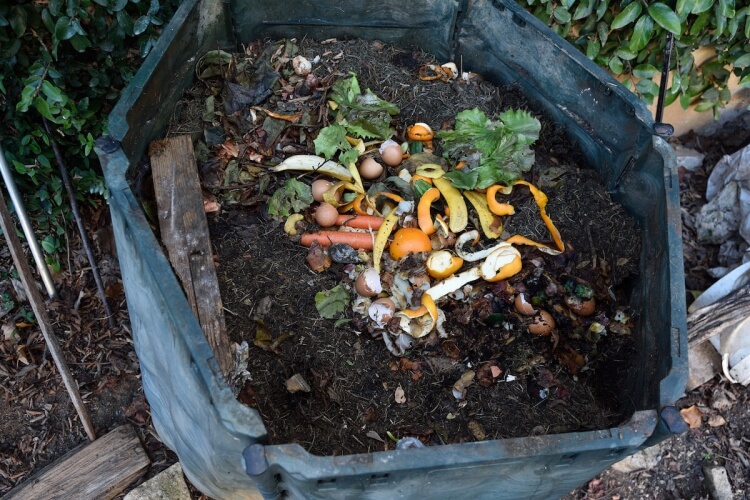 engrais naturels maison compost zéro déchets cuisine