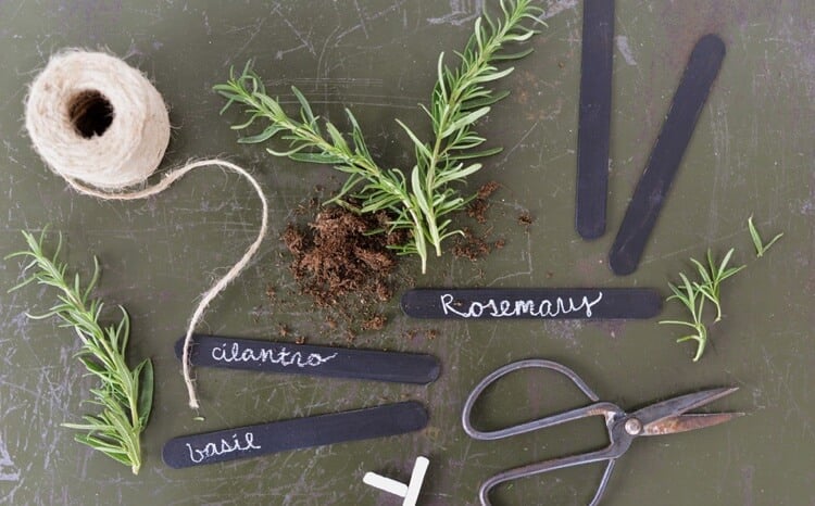 etiquettes ardoise DIY pour herbes aromatiques