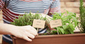 fabriquer etiquettes jardin herbes aromatiques
