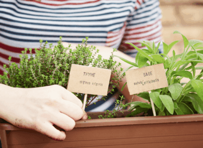 fabriquer etiquettes jardin herbes aromatiques