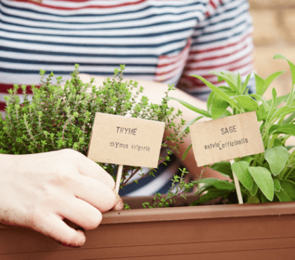 fabriquer etiquettes jardin herbes aromatiques
