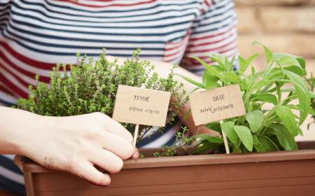 fabriquer etiquettes jardin herbes aromatiques
