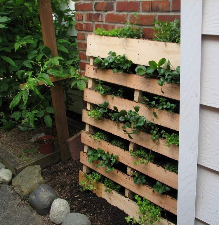 jardin vertical palette bois culture fraisiers