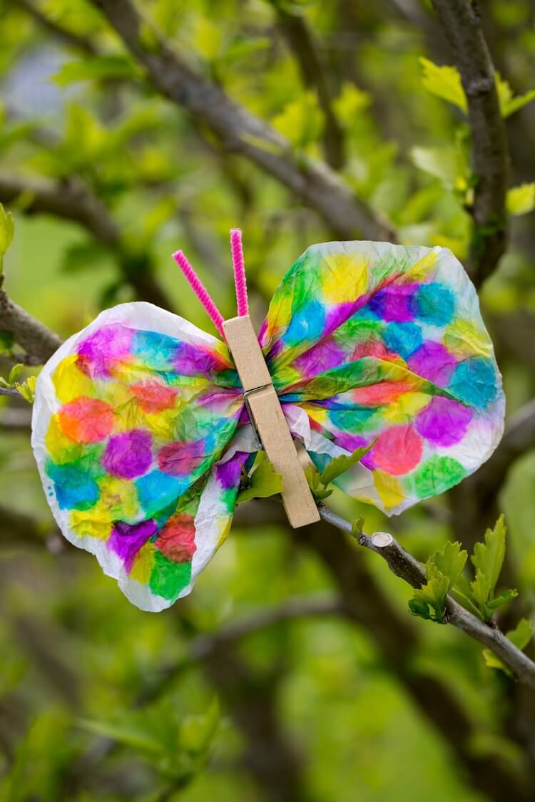 papillon filtre cafe peint pince linge bois bricolage pour enfants