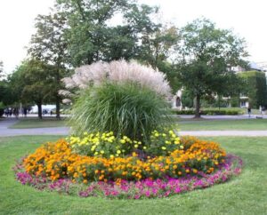 parterre de fleurs rond choisir pièce centrale cercle