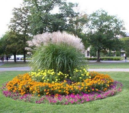 parterre de fleurs rond choisir pièce centrale cercle