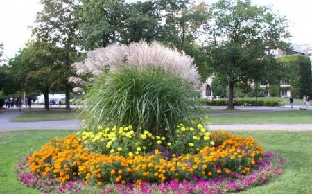 parterre de fleurs rond choisir pièce centrale cercle