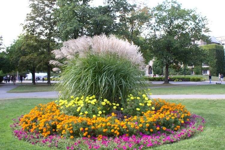 parterre de fleurs rond choisir pièce centrale cercle