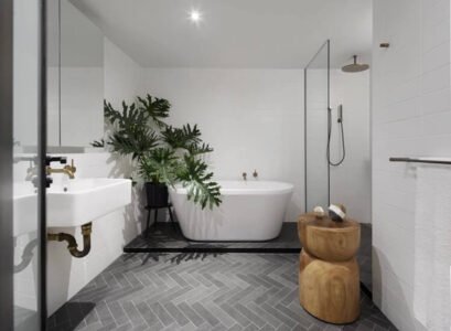 philodendron salle bain verriere