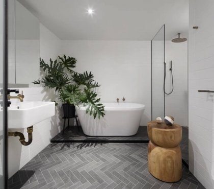 philodendron salle bain verriere
