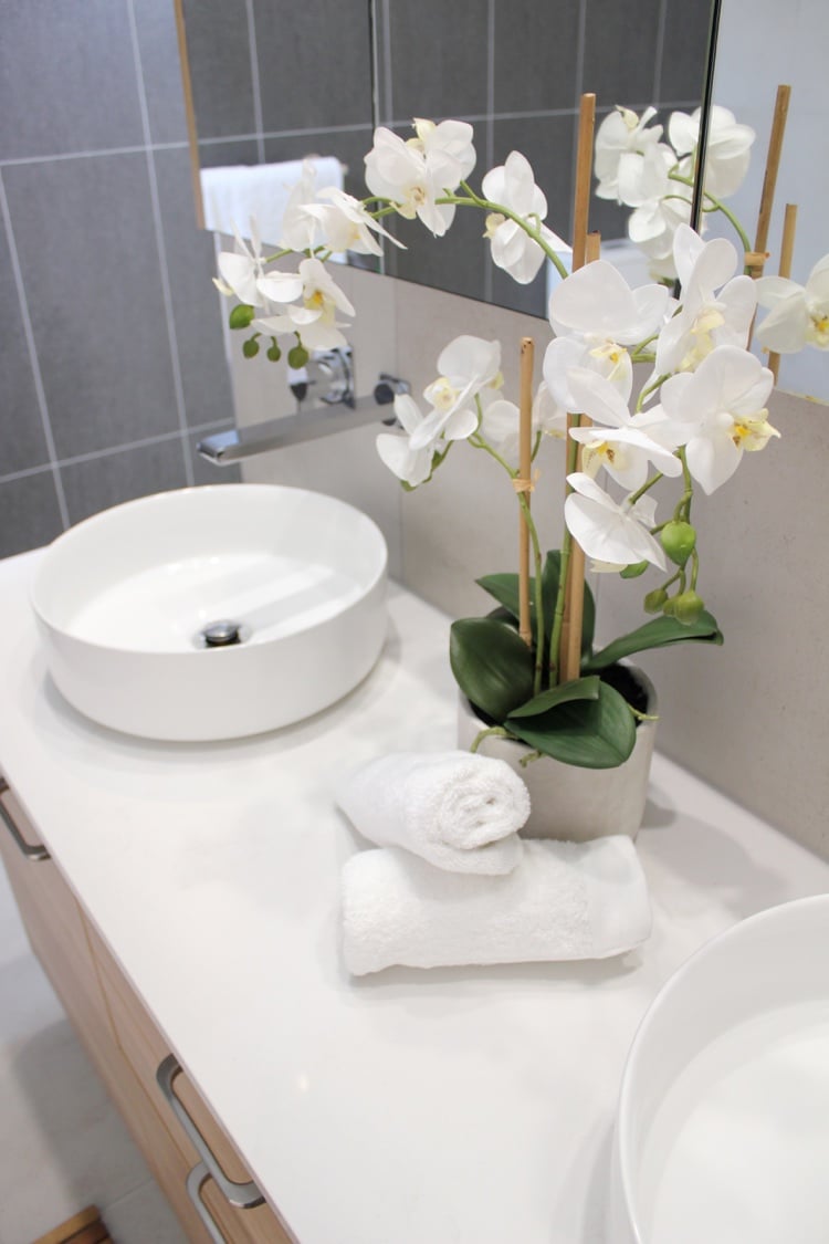 plante salle de bain orchidee phalaenopsis fleurs blanches