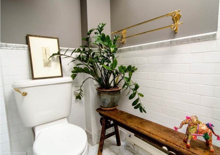plantes pour salle de bain zamioculcas petite salle toilettes