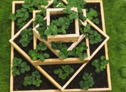 pyramide fraisiers en bois fabriquer soi meme bacs carrés superposés