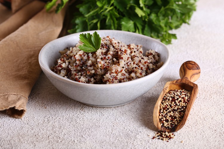 régime végétarien aliments riches en protéines à considérer alternatives viande quinoa alimentation saine