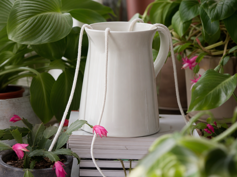 système auto arrosage par capillarité pour plantes intérieur
