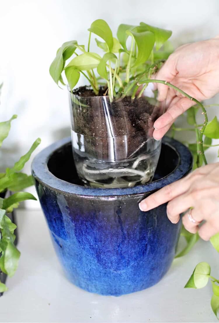 arrosage automatique pour plantes intérieur avec bouteille plastique ficelle de coton