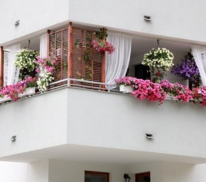 balcon fleuri plein soleil meilleures fleurs pour suspension