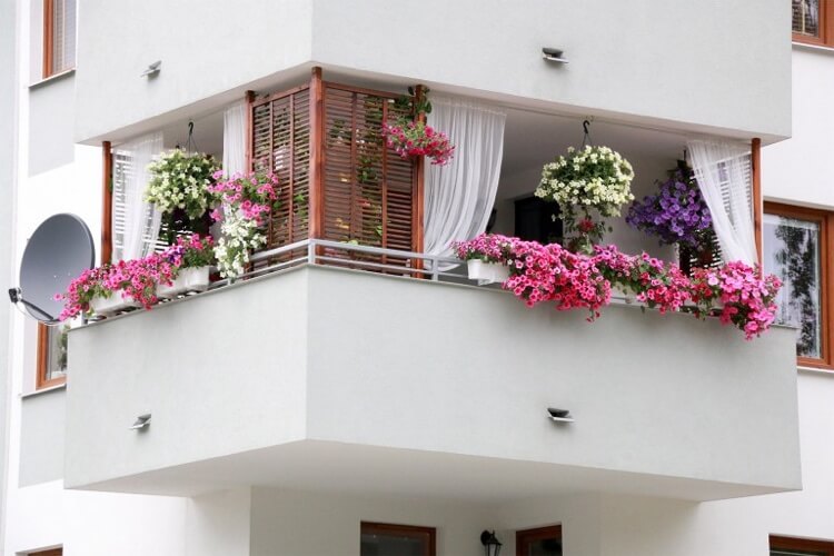 balcon fleuri plein soleil meilleures fleurs pour suspension