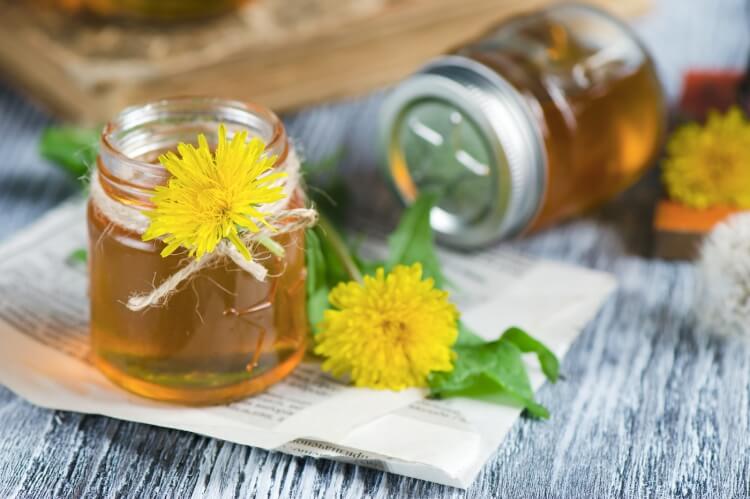 bienfaits miel de pissenlit effets antioxydants antibiotiques innés