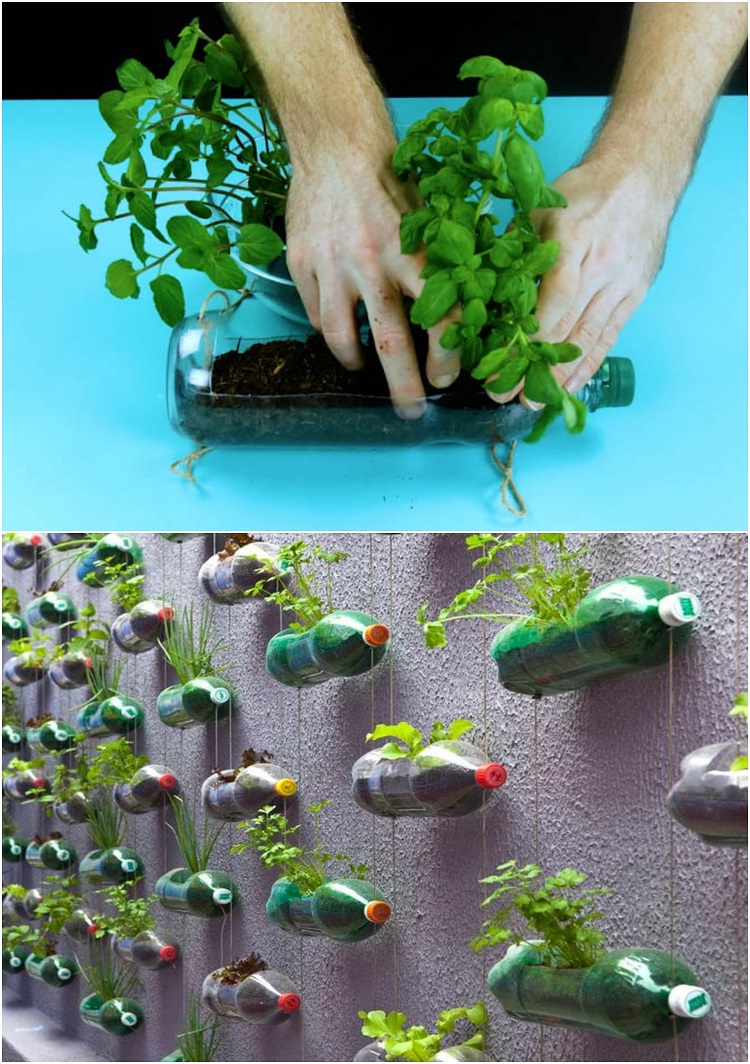 bricolage avec bouteille plastique pots de fleurs diy jardin suspendu
