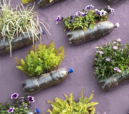 bricolage bouteilles plastiques pour le jardin et l'intérieur