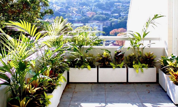 brise vue balcon original grandes jardinières verdure