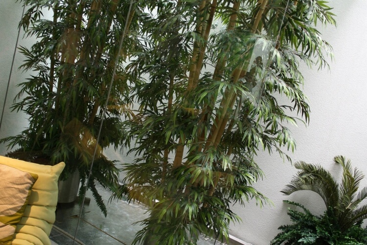 brise-vue haie artificielle bambou élégant captivant moderne