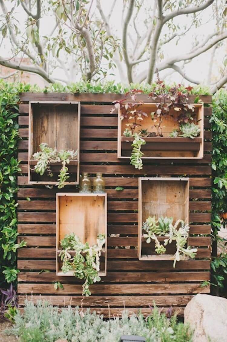 claustra en bois de palette caisses avec plantes grasses