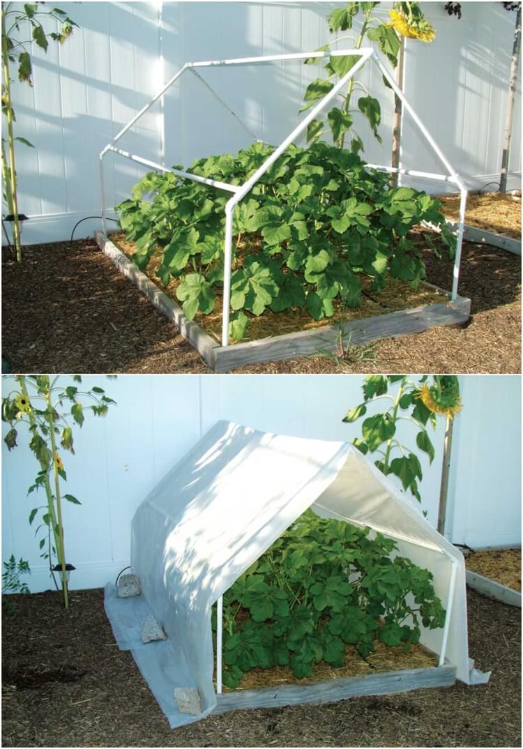comment fabriquer une petite serre de jardin avec tuyaux PVC bâche