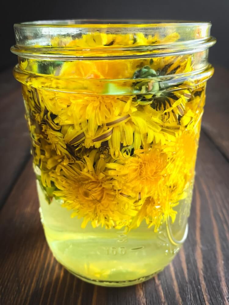comment utiliser les fleurs de pissenlit rassembler sécher infuser huile