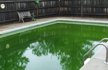 eau de piscine verte algues propager pénétrer eau piscine
