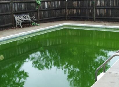 eau de piscine verte algues propager pénétrer eau piscine