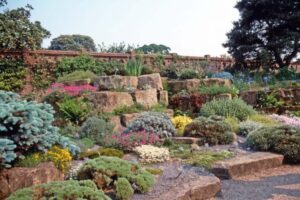 faire une rocaille de plantes vivaces
